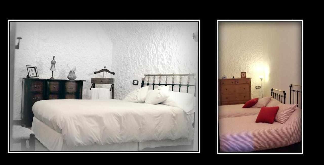 Casa rural Hábitat Troglodita Almagruz *