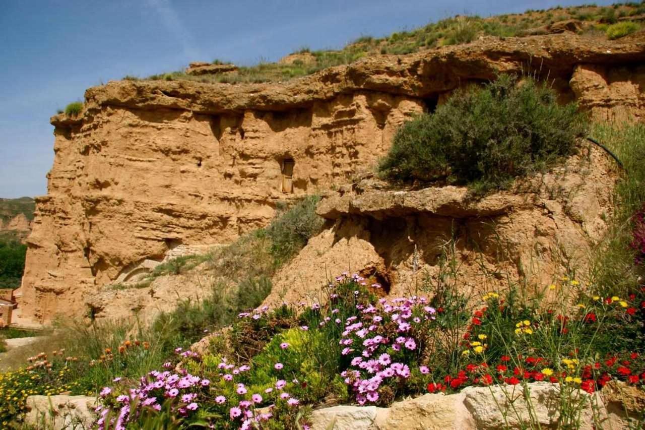 Hábitat Troglodita Almagruz Casa rural *